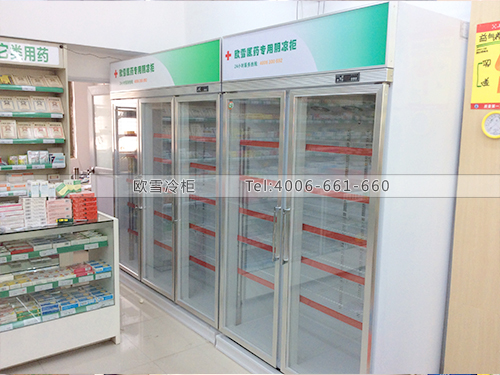H009湖南郴州上林大藥房藥品專(zhuān)用陰涼柜